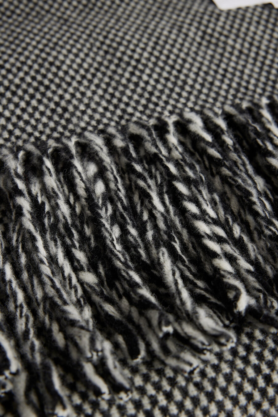 jared scarf